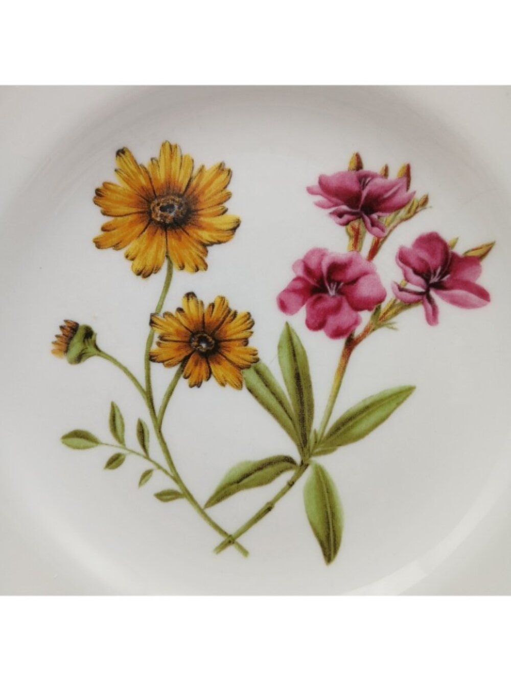 Biltmore Crochet Flower Salad Plates Set 4 Botanical Fine China 9” - Picture 9 of 10